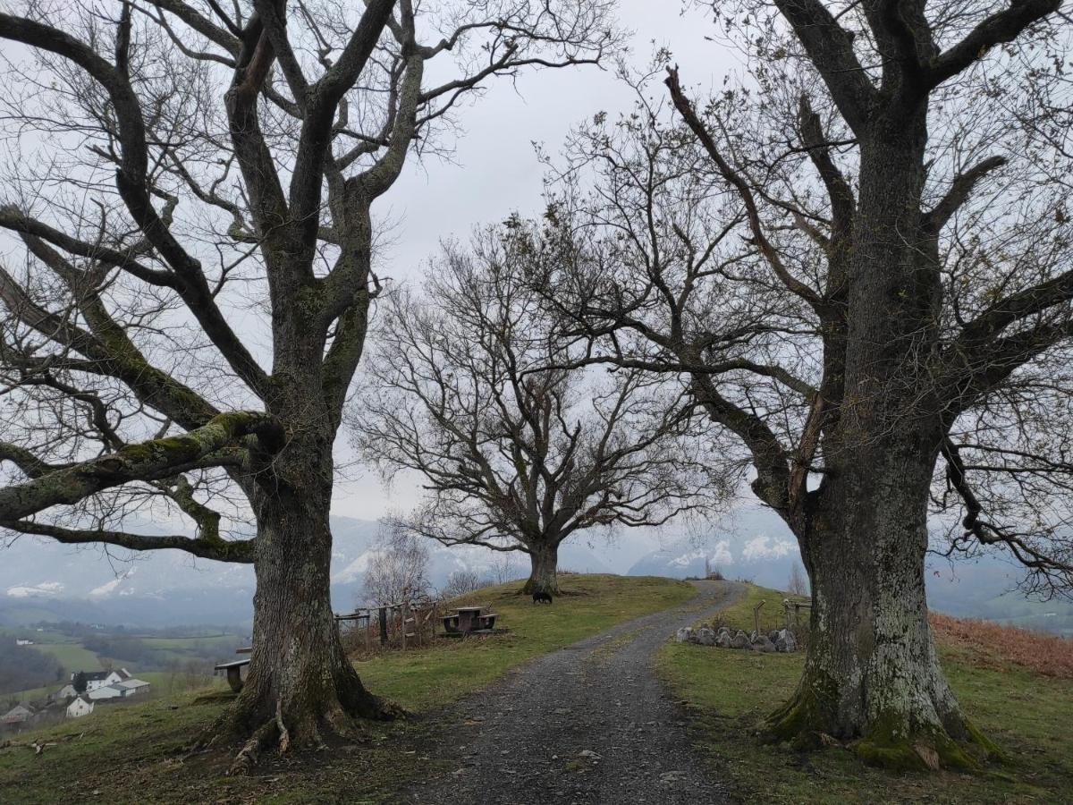 Gite Des 3 Arbres Aramits Dış mekan fotoğraf